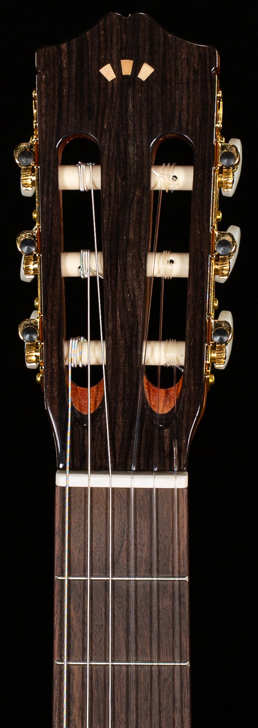 Cordoba C5 SP (607)