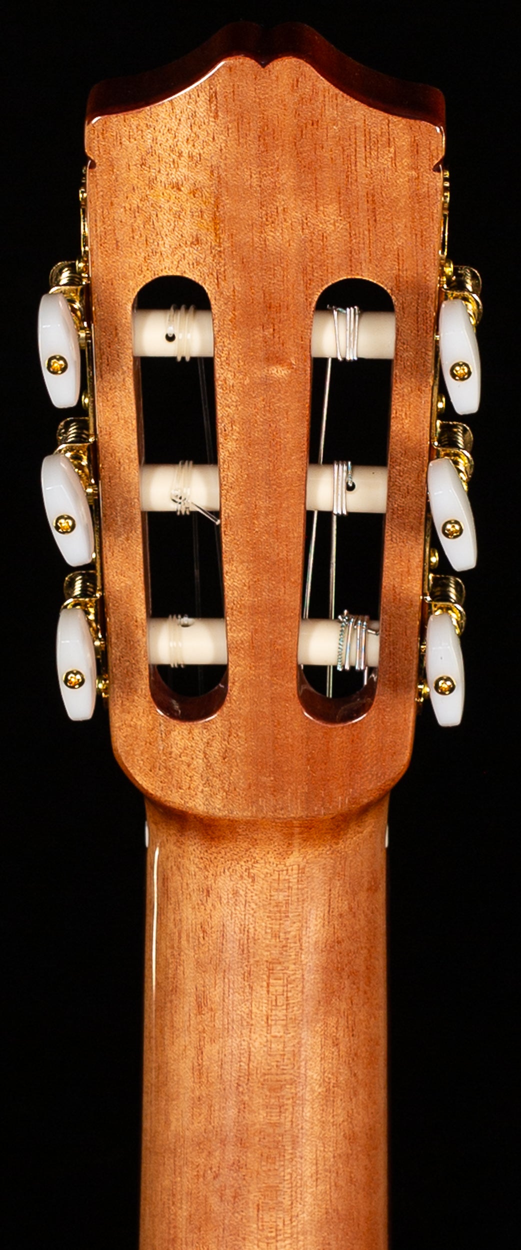 Cordoba C5 SP (607)