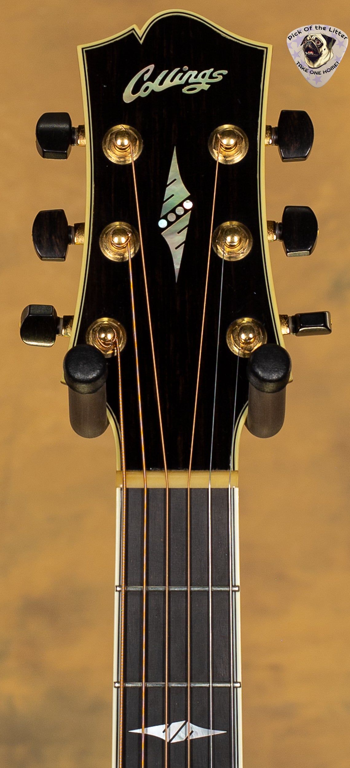 2001 Collings SJ SB Maple