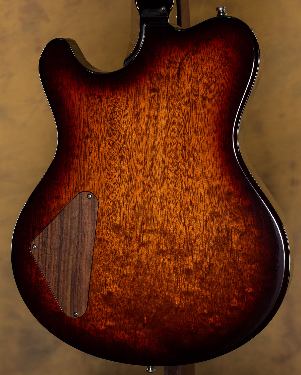 Nik Huber Redwood Dolphin