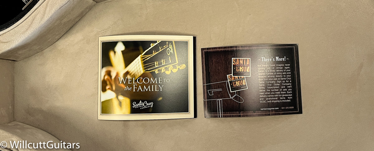 Santa Cruz 1934 D Model Guitar (805)