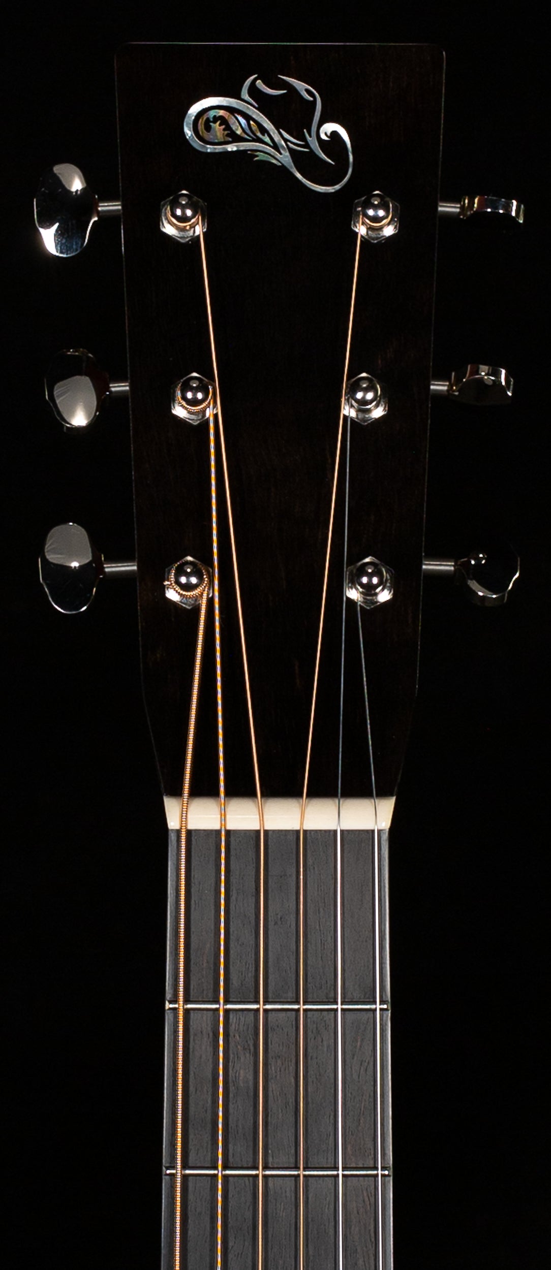 Santa Cruz Brad Paisley PreWar (884)