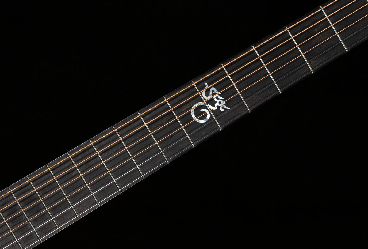 Santa Cruz Brad Paisley PreWar (884)