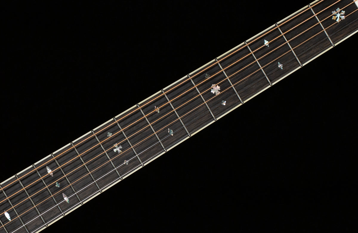 Santa Cruz D Nershi Model Guitar (888)