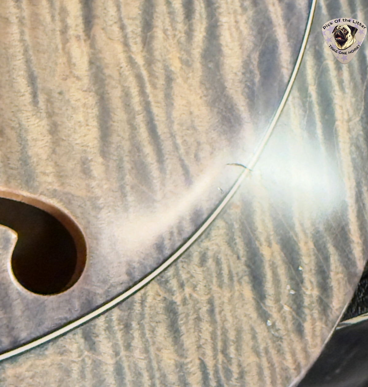 2018 Knaggs Severn Hardtail HB T2 Winter Solstice