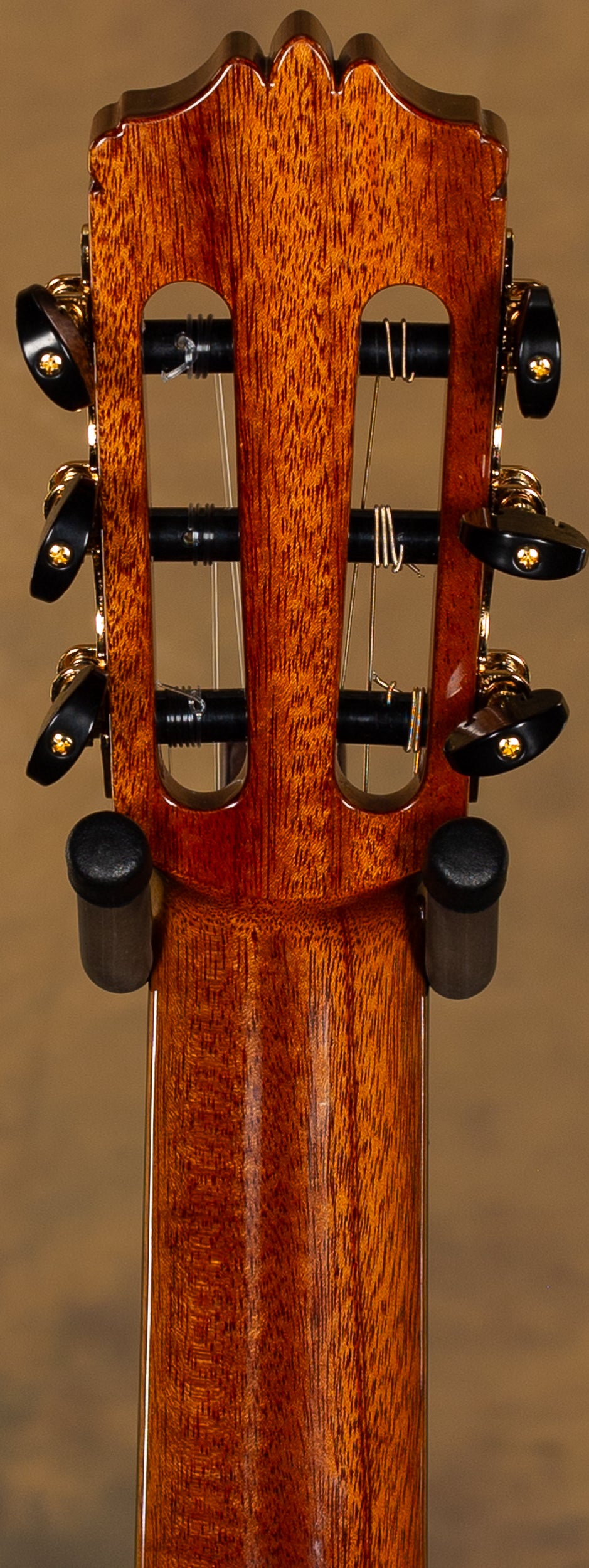 Cordoba C10 Cedar Classical Guitar