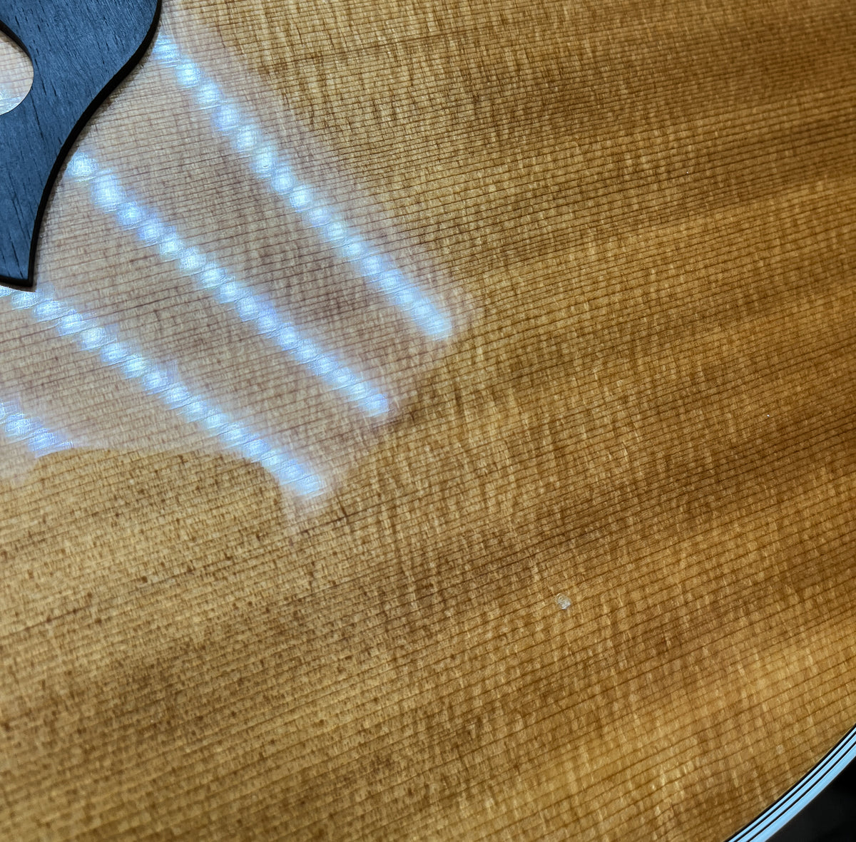 1995 Taylor 815c w/ K&amp;K Pure Mini Pickup