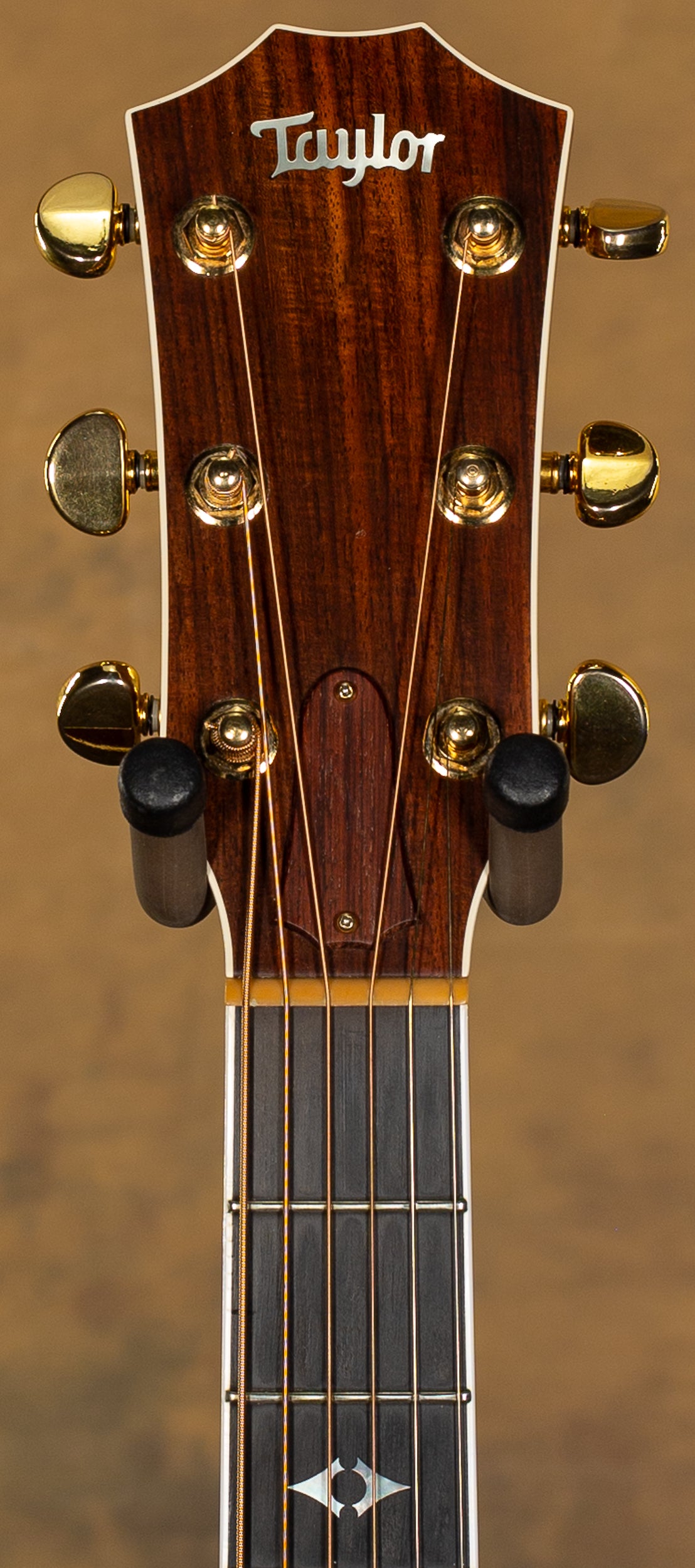 1995 Taylor 815c