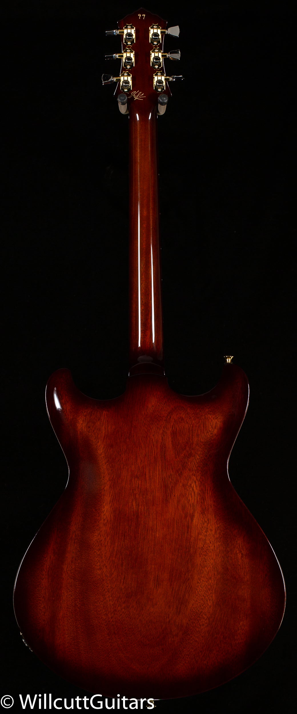 Knaggs Influence Sheyenne Sunflower Burst T1 (99)