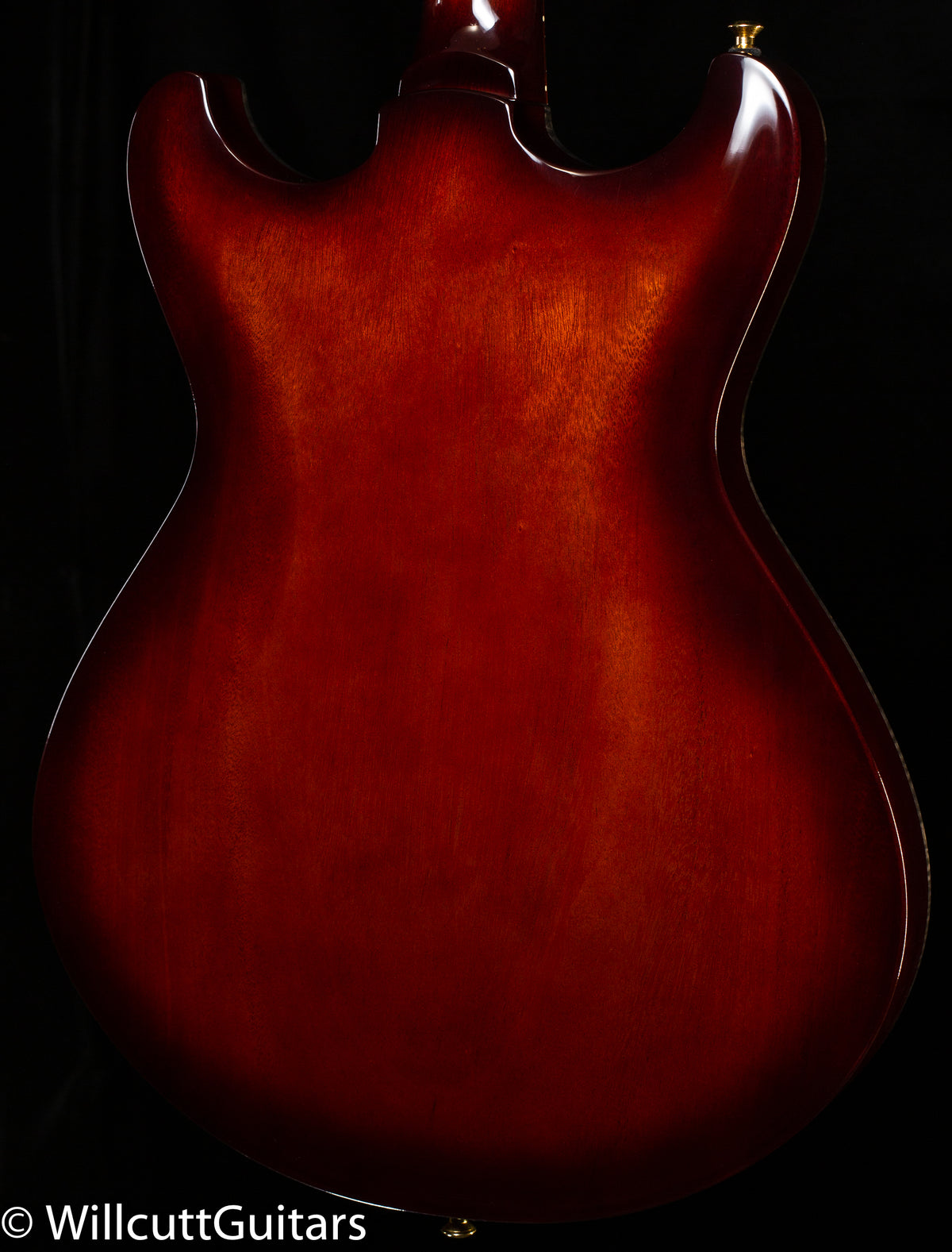 Knaggs Influence Sheyenne Sunflower Burst T1 (99)