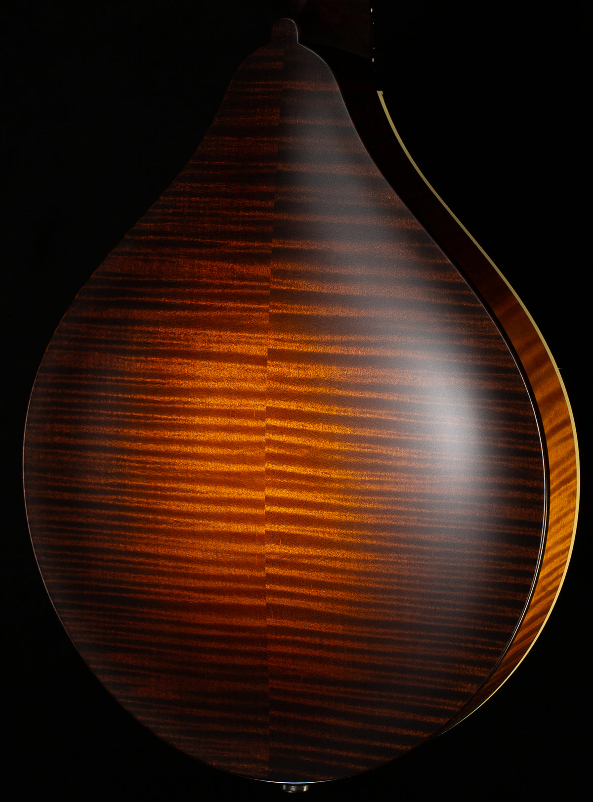 Collings MT O Mandolin Gloss Top Ivoroid Binding (638)