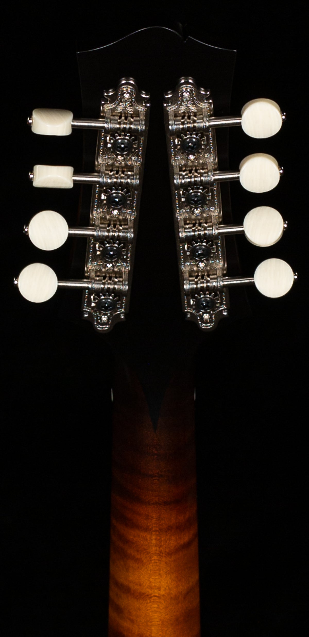 Collings MT O Mandolin Gloss Top Ivoroid Binding (638)