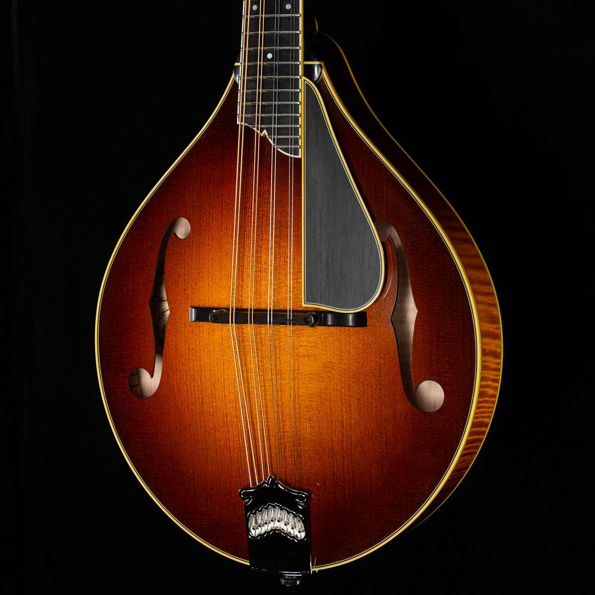 Collings MT2 Varnish Mandolin (712)