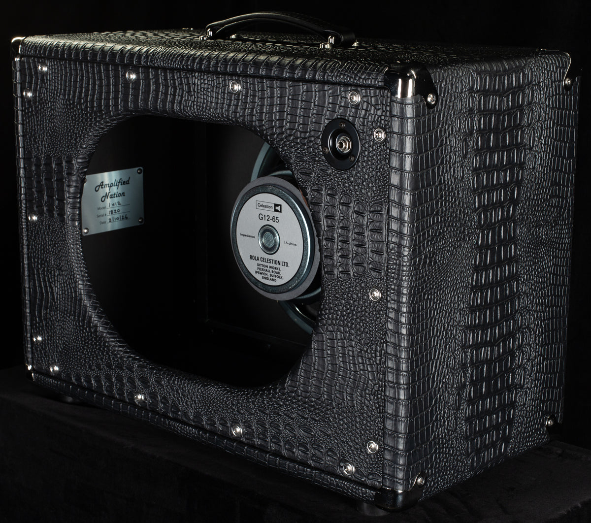 Amplified Nation 1x12 Cabinet Oversized Black Croc/ Black Cloth + G12-65 (820)