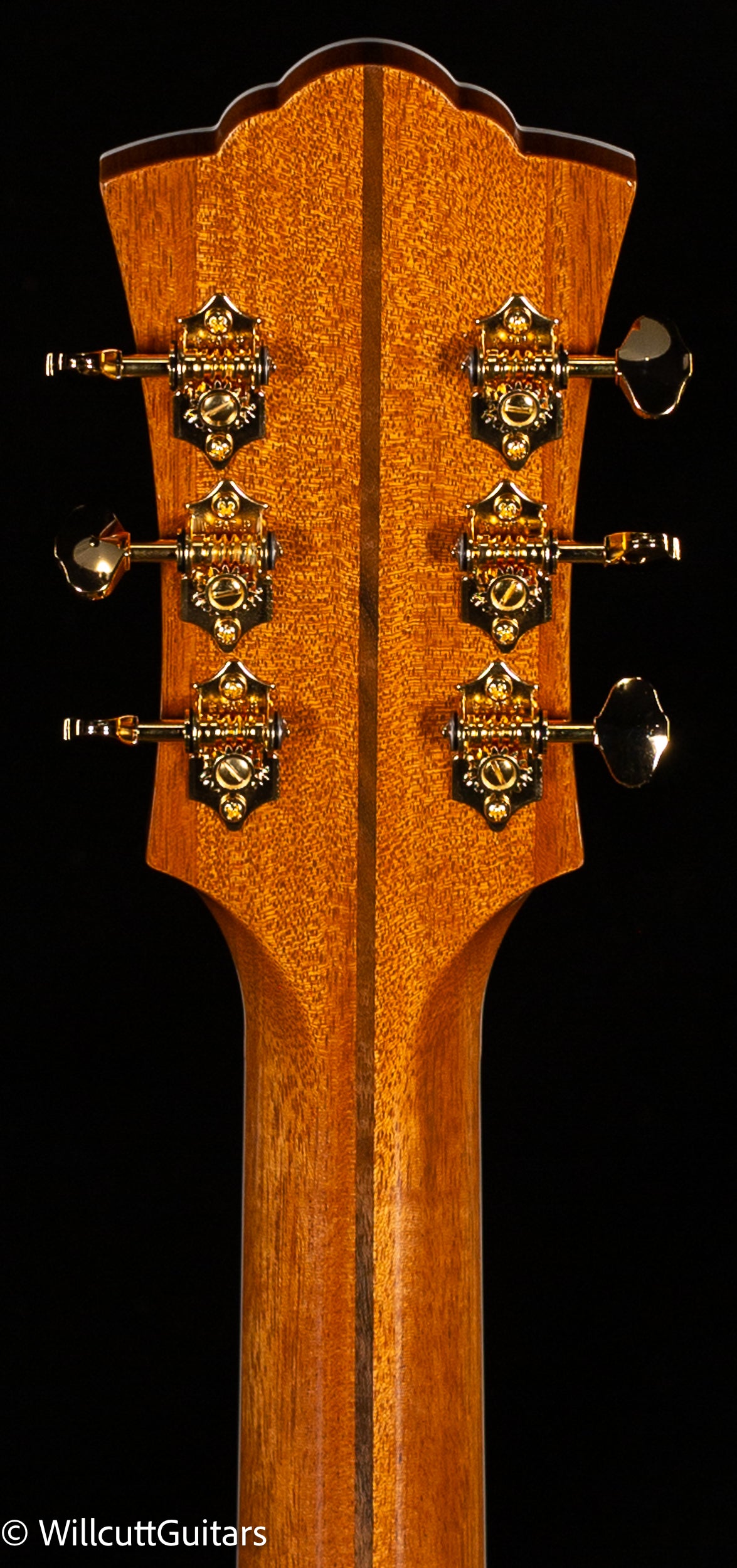 Guild F-55E Maple (244)