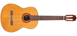 Cordoba C5
