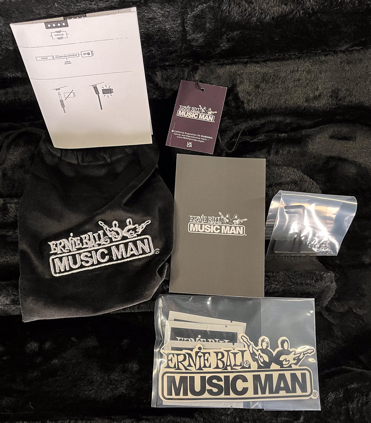 Ernie Ball Music Man Retro 70s StingRay 4 (611)