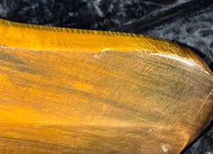 2024 Knaggs Influence Chena Old Black Violin