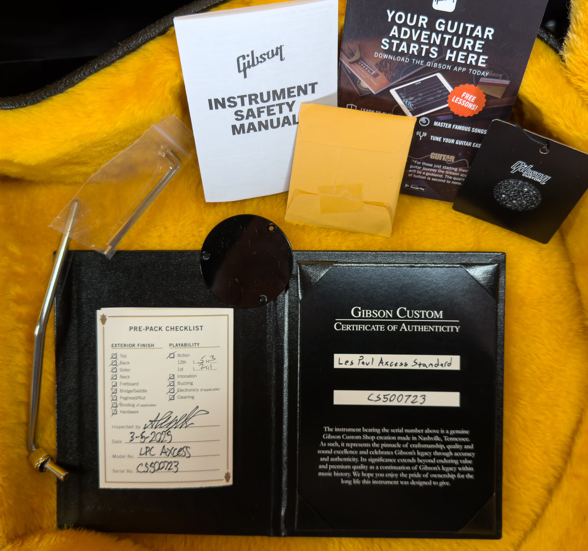 Gibson Les Paul Axcess Standard Figured Siberian Tiger Gloss (723)