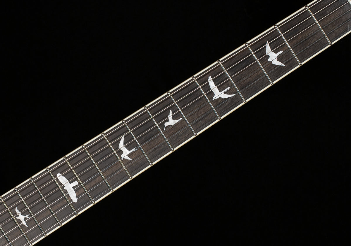 PRS SE Hollowbody Standard Dog Hair Smokeburst (053)