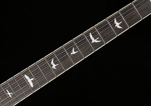 PRS SE Hollowbody Standard Dog Hair Smokeburst (053)