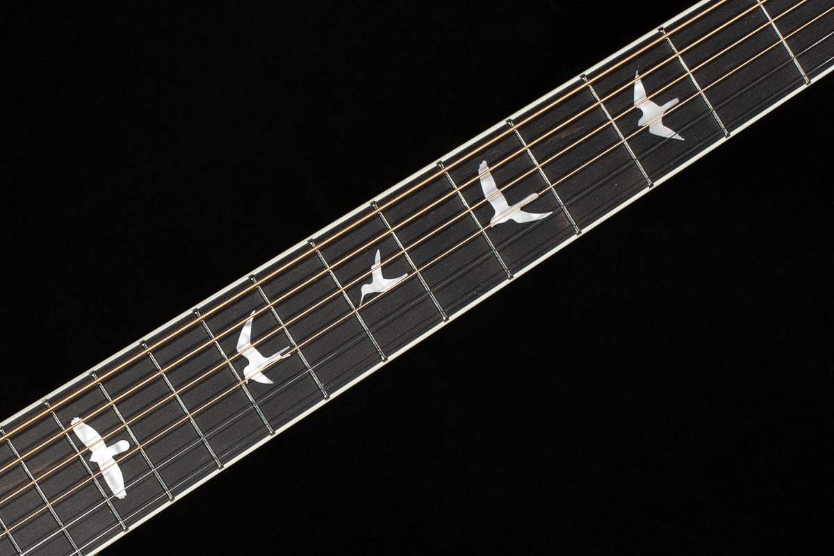 PRS SE PE20 Parlor Acoustic Dog Hair Gloss Top Satin Back (278)