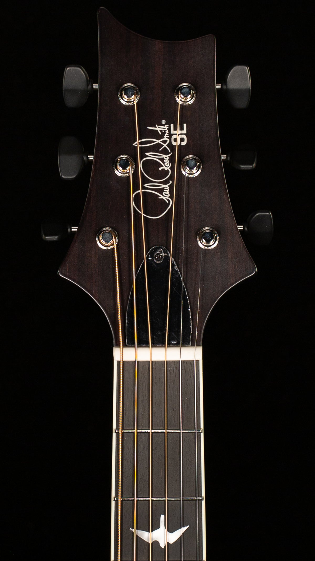 PRS SE PE20 Parlor Acoustic Dog Hair Gloss Top Satin Back (278)