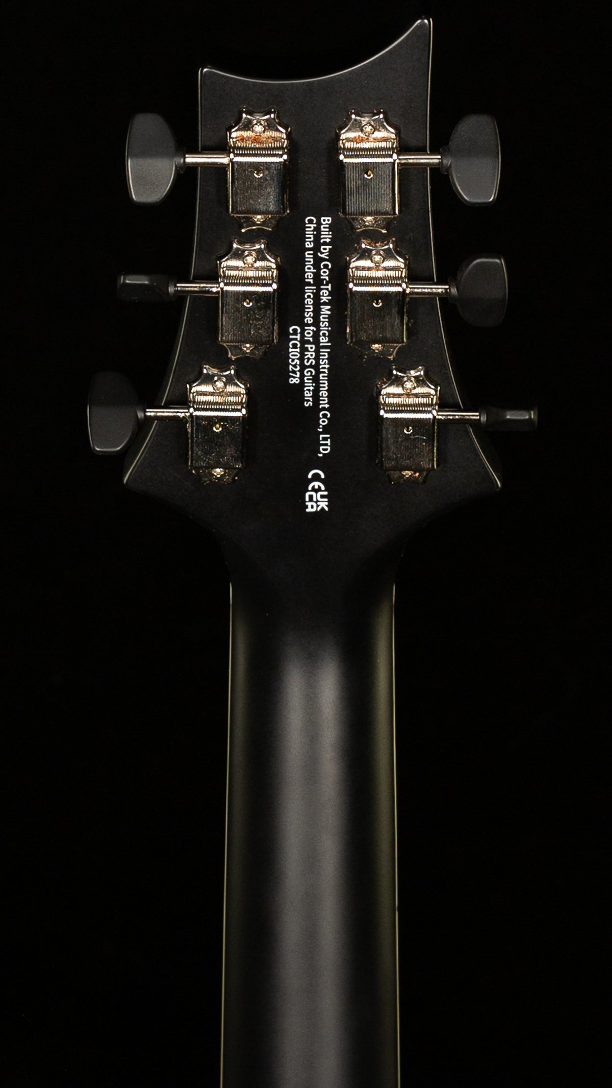 PRS SE PE20 Parlor Acoustic Dog Hair Gloss Top Satin Back (278)