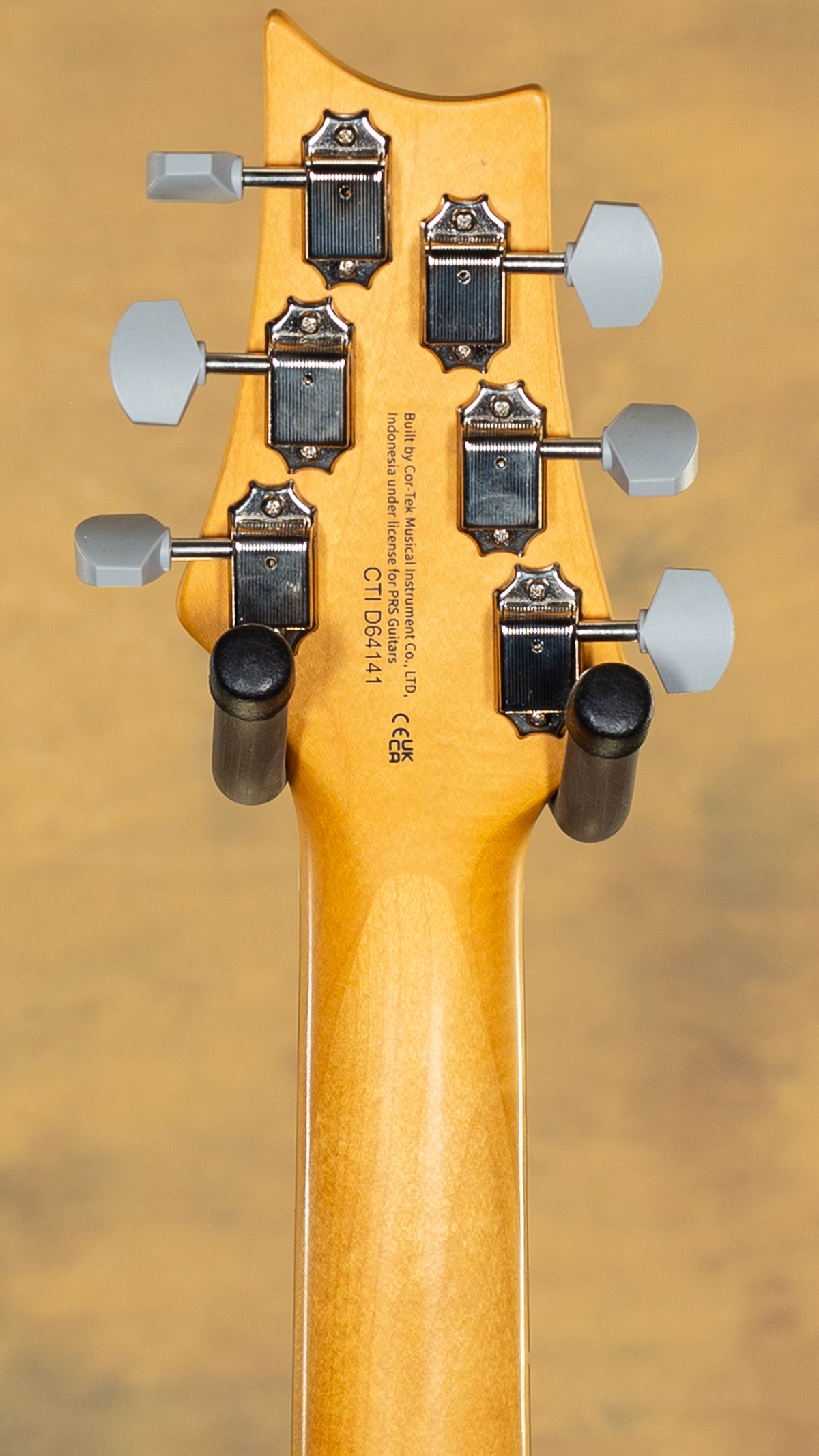 2021 PRS SE Silver Sky Dragon Fruit