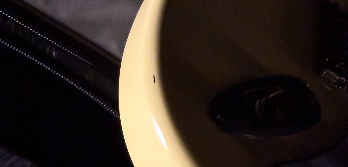 2022 PRS SE Silver Sky Moon White