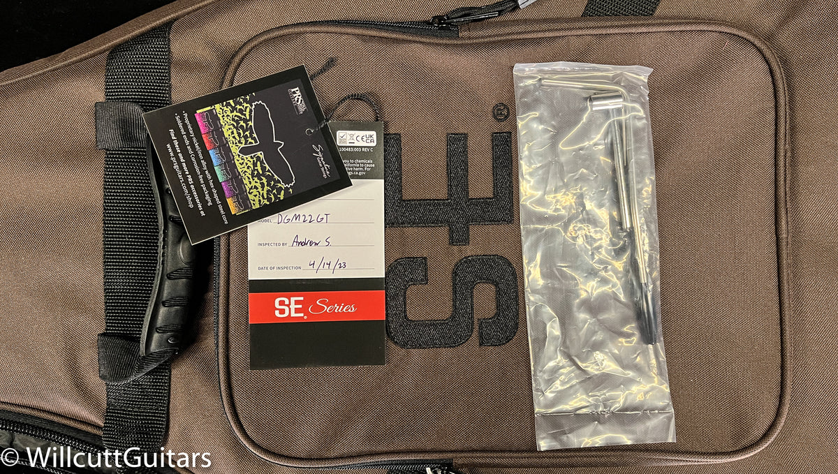 PRS SE DGT Gold Top (319)