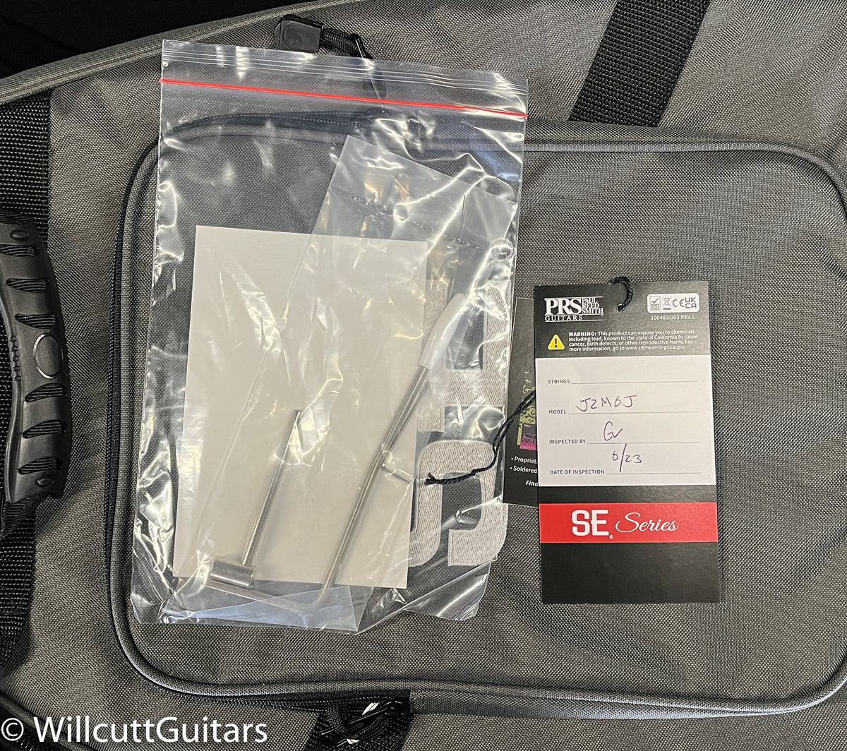 PRS SE Silver Sky Nylon Blue (181)