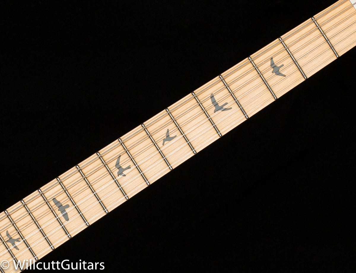 PRS SE Silver Sky Nylon Blue (181)