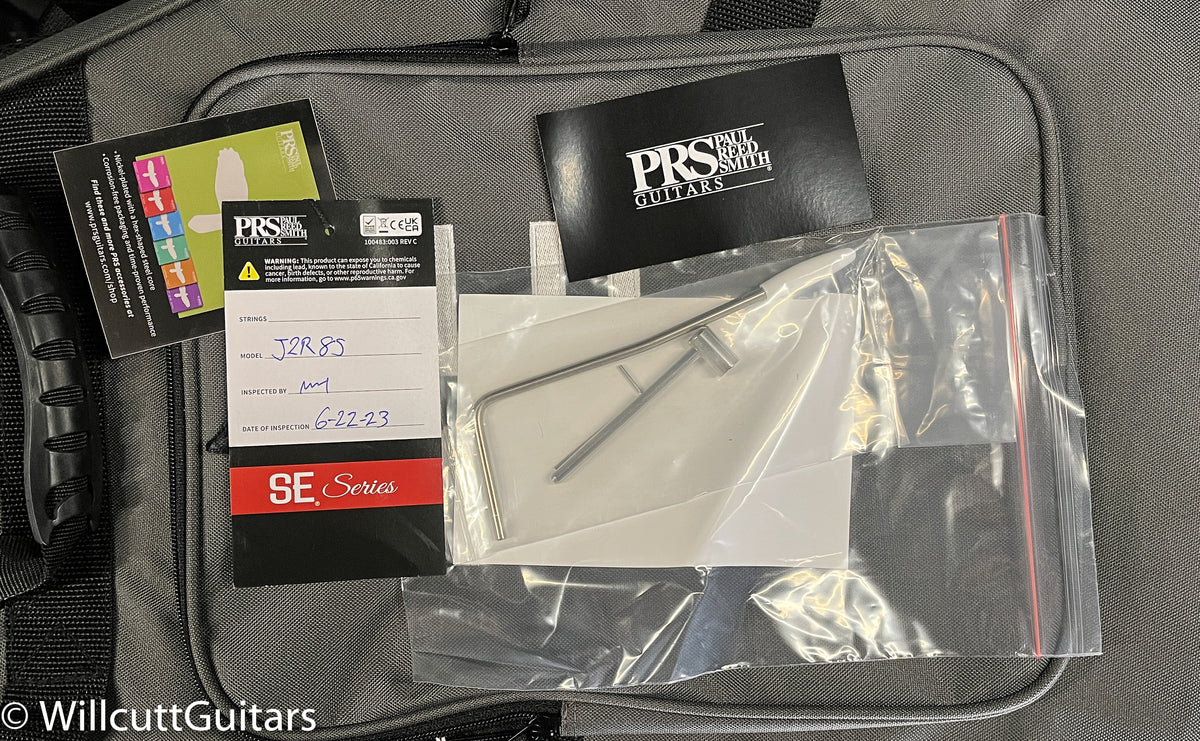 PRS SE Silver Sky Storm Gray (542)
