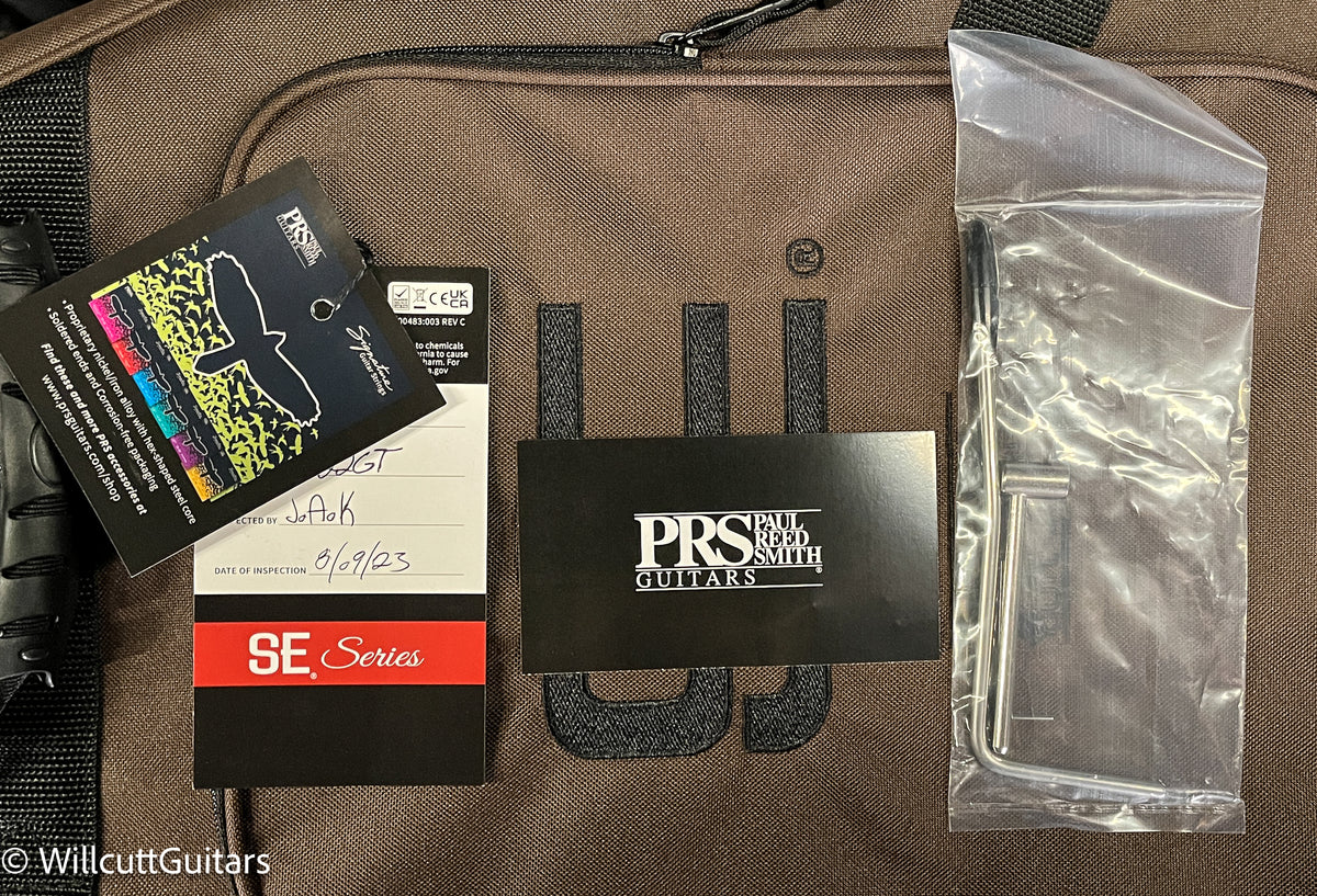 PRS SE DGT Gold Top (234)