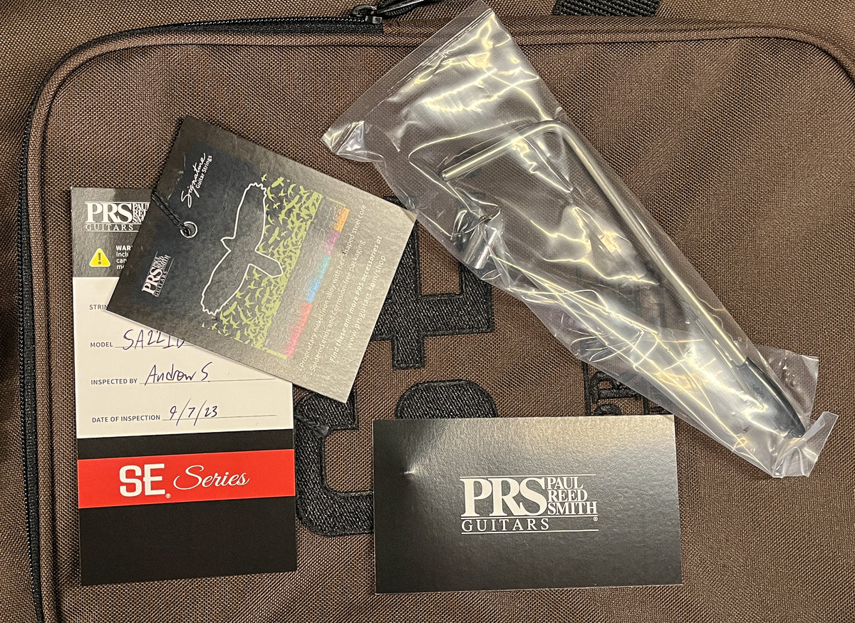 PRS SE Swamp Ash Special Iris Blue (291)