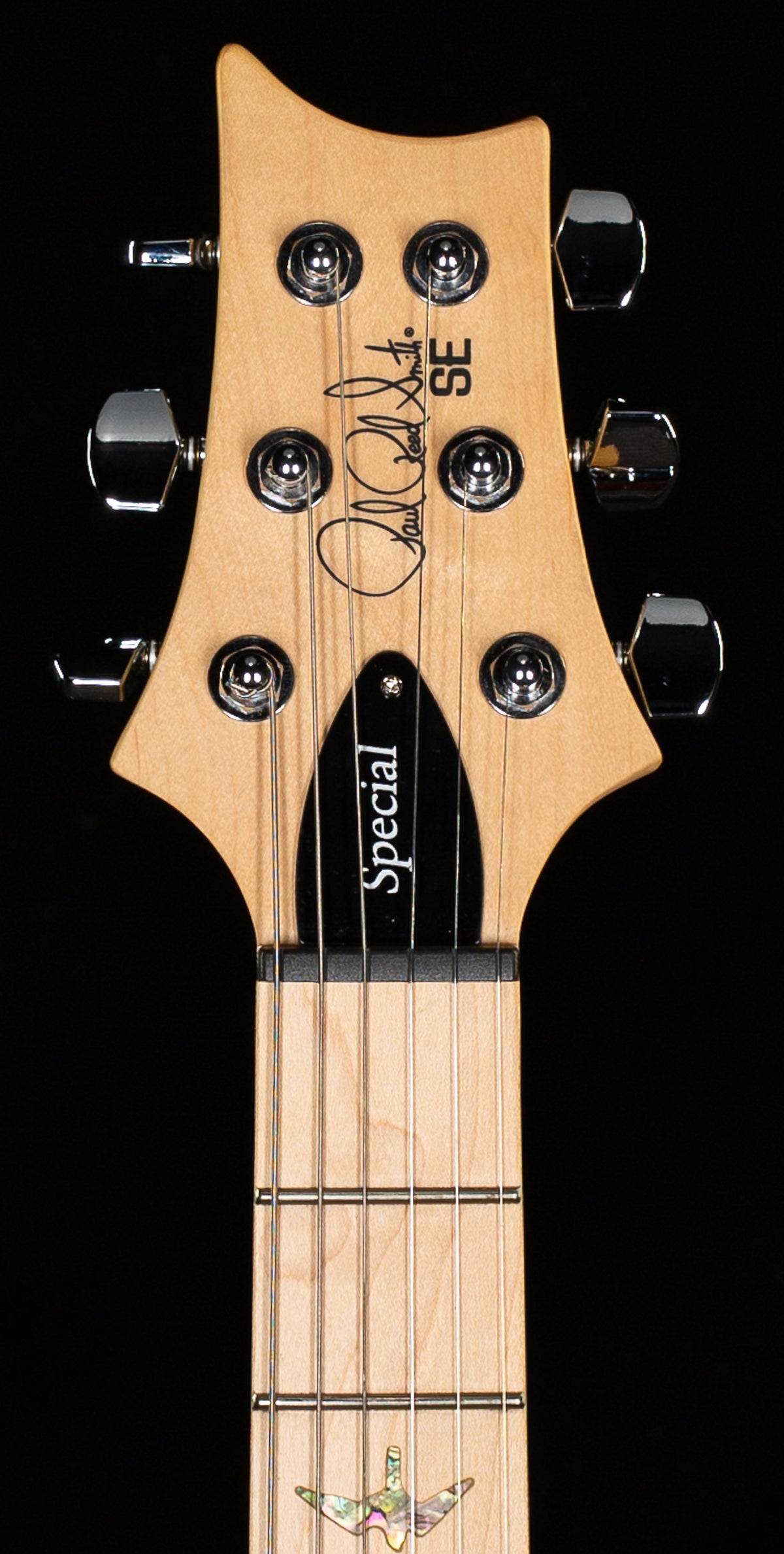 PRS SE Swamp Ash Special 22 Vintage Sunburst (189)
