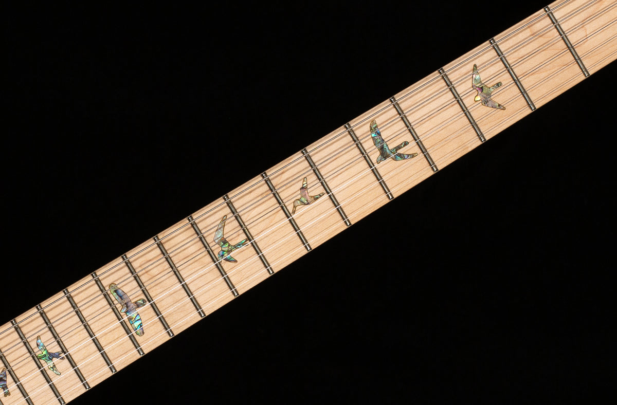PRS SE Swamp Ash Special 22 Vintage Sunburst (189)