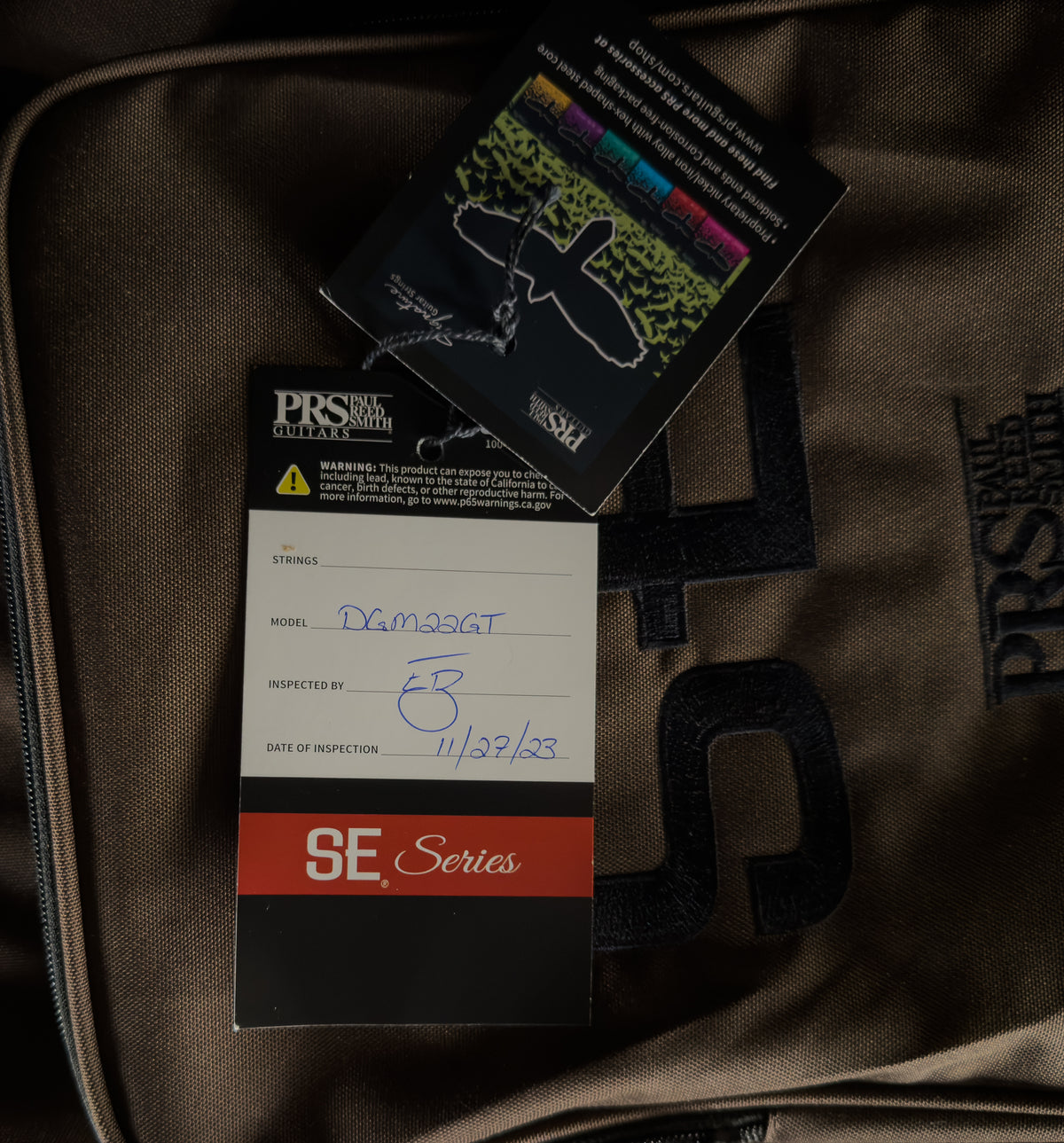 2023 PRS SE DGT Goldtop