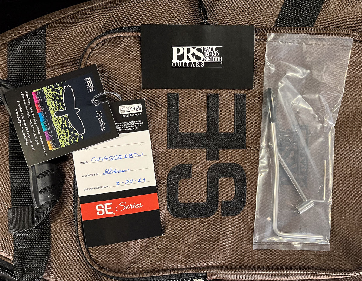 PRS SE Custom 24 Turquoise (967)