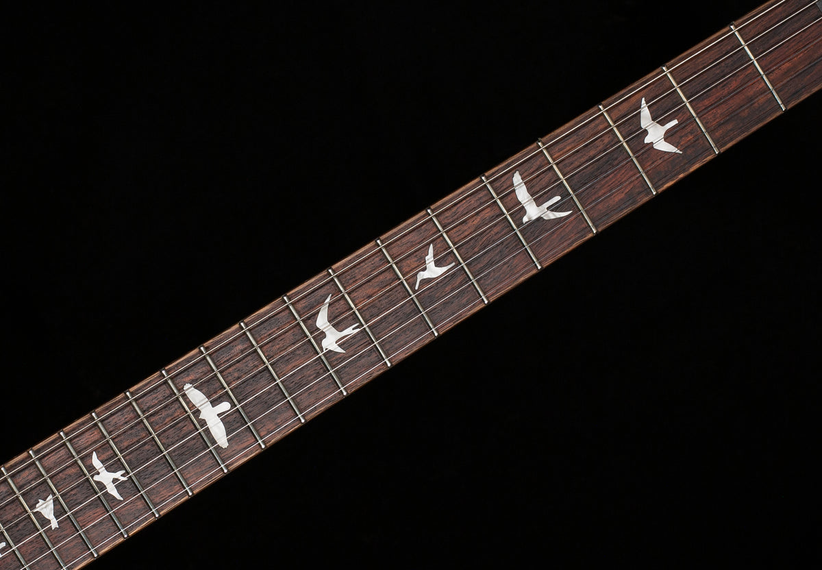 PRS SE Custom 24 Blue Fade (194)