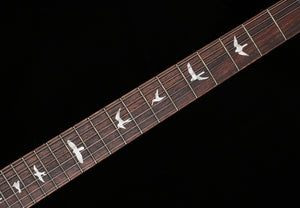 PRS SE Custom 24 Blue Fade (194)