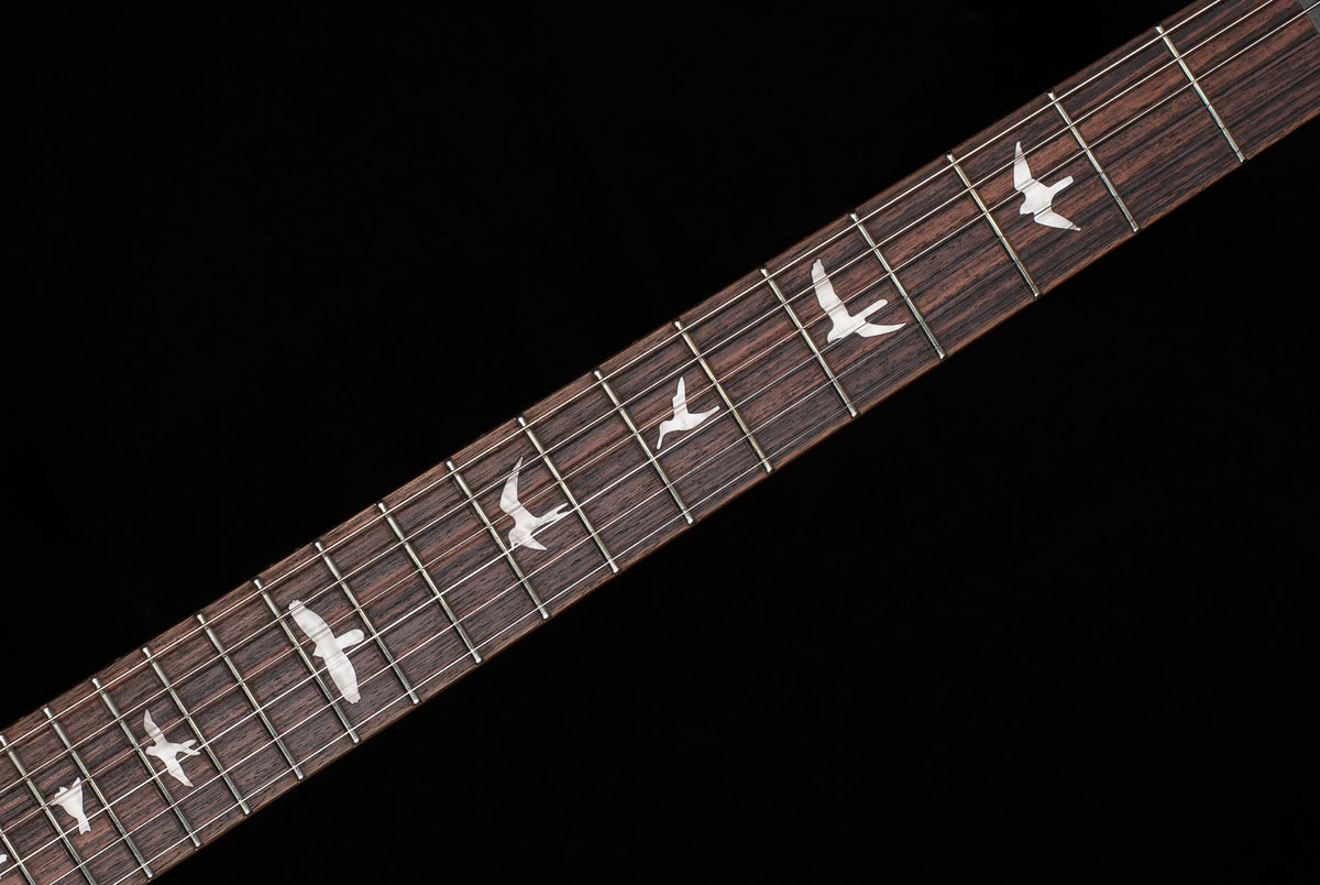 PRS SE Custom 24 Blue Fade (353)
