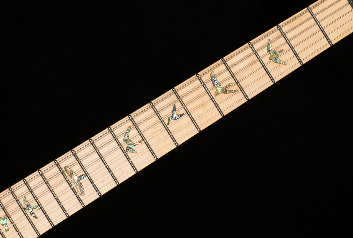 PRS SE Swamp Ash Special Bolt-on Iri Blue (314)