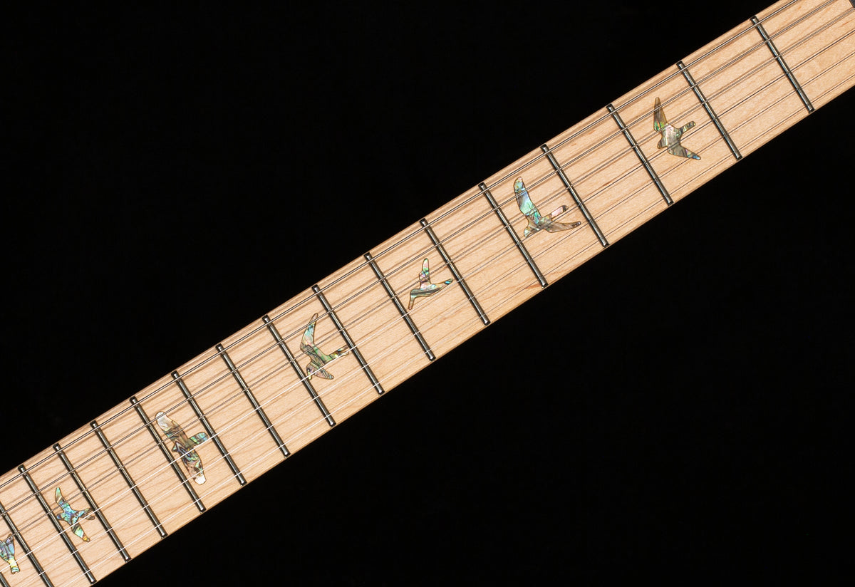 PRS SE Swamp Ash Special Bolt-on Iri Blue (408)