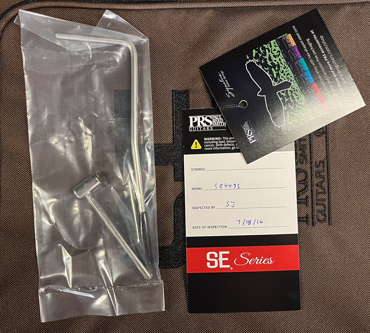 PRS SE Sandblasted CE 24 LTD Sandblasted  Blue (090)