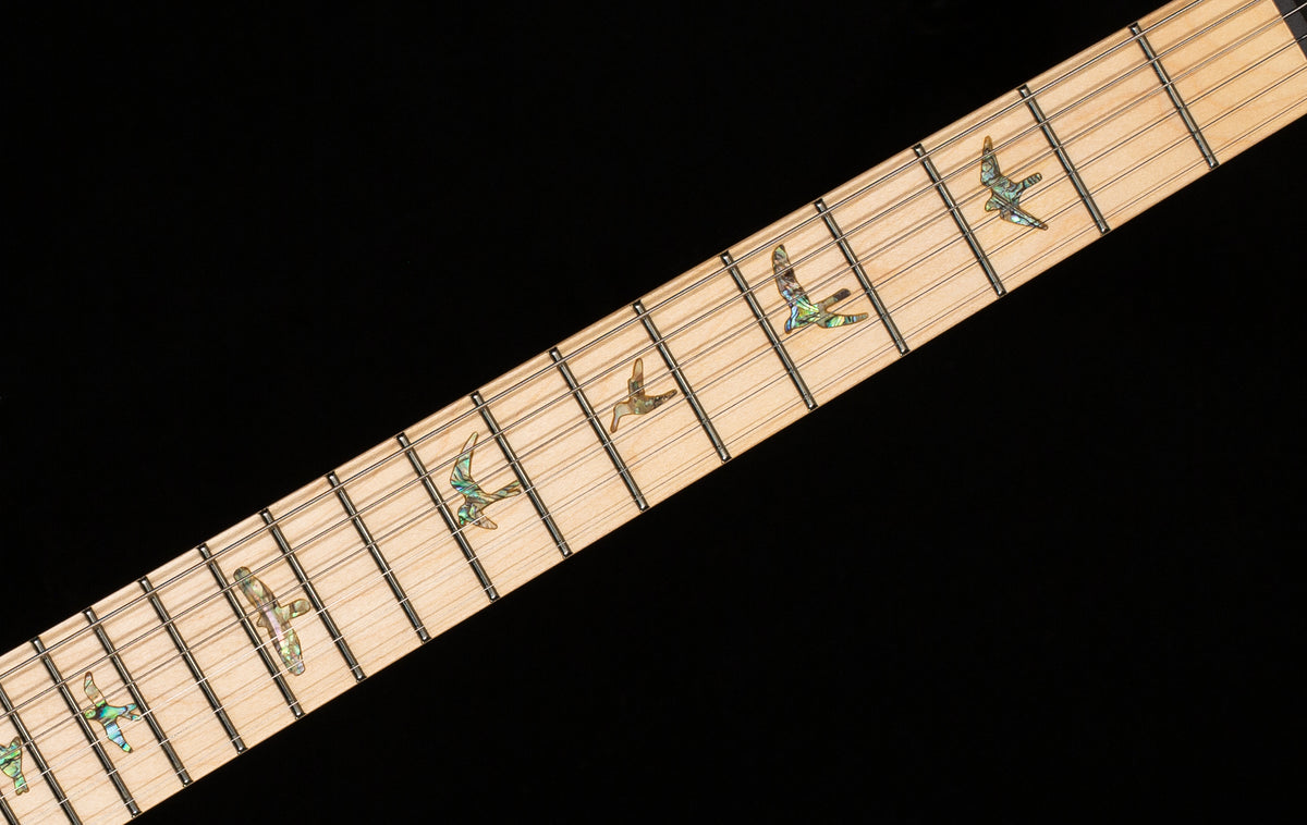 PRS SE Swamp Ash Special Iri Blue (797)