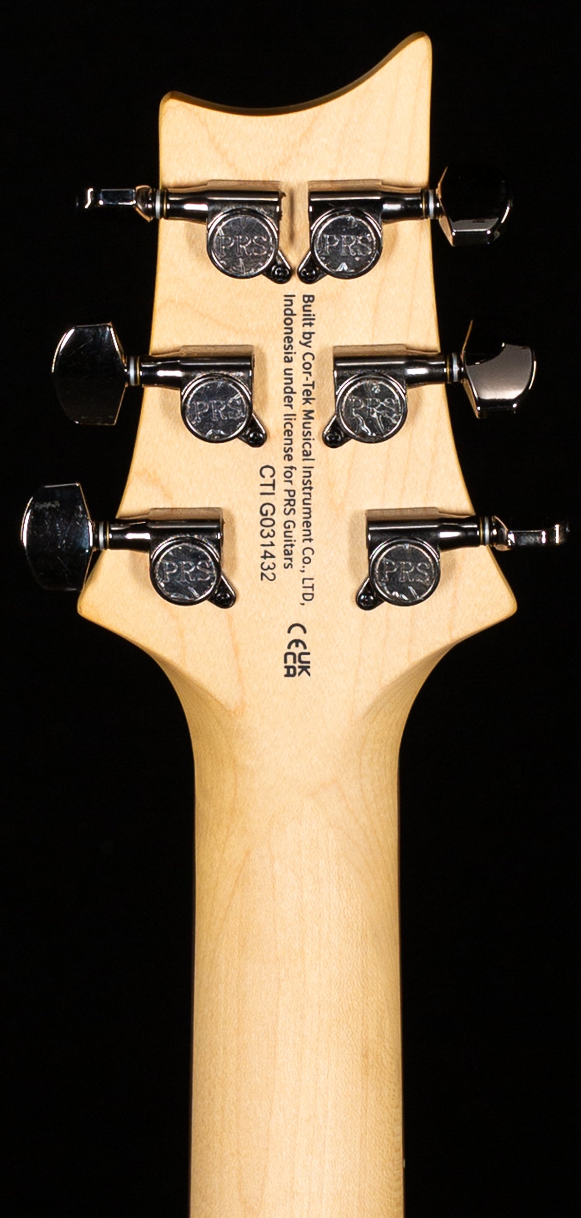 PRS SE Sandblasted CE 24 LTD Sandblasted Green (432)