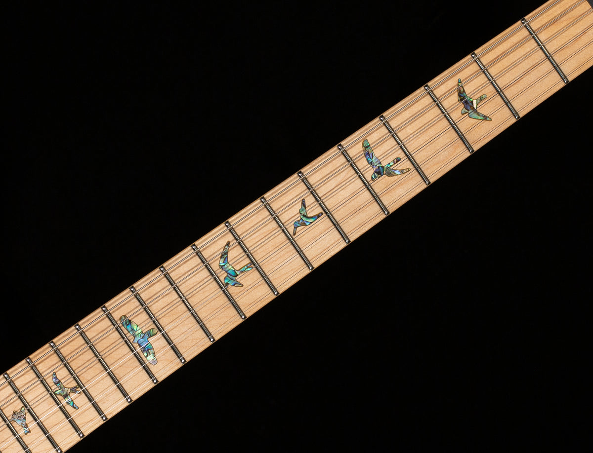 PRS SE Swamp Ash Special Vintage Sunburst (464)