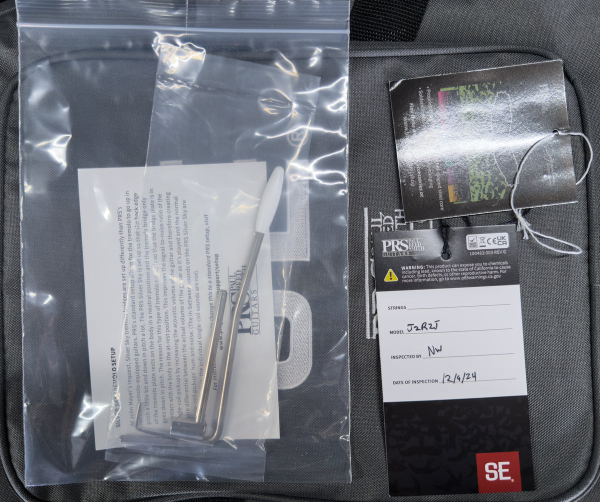 PRS SE Silver Sky Stone Blue (623)